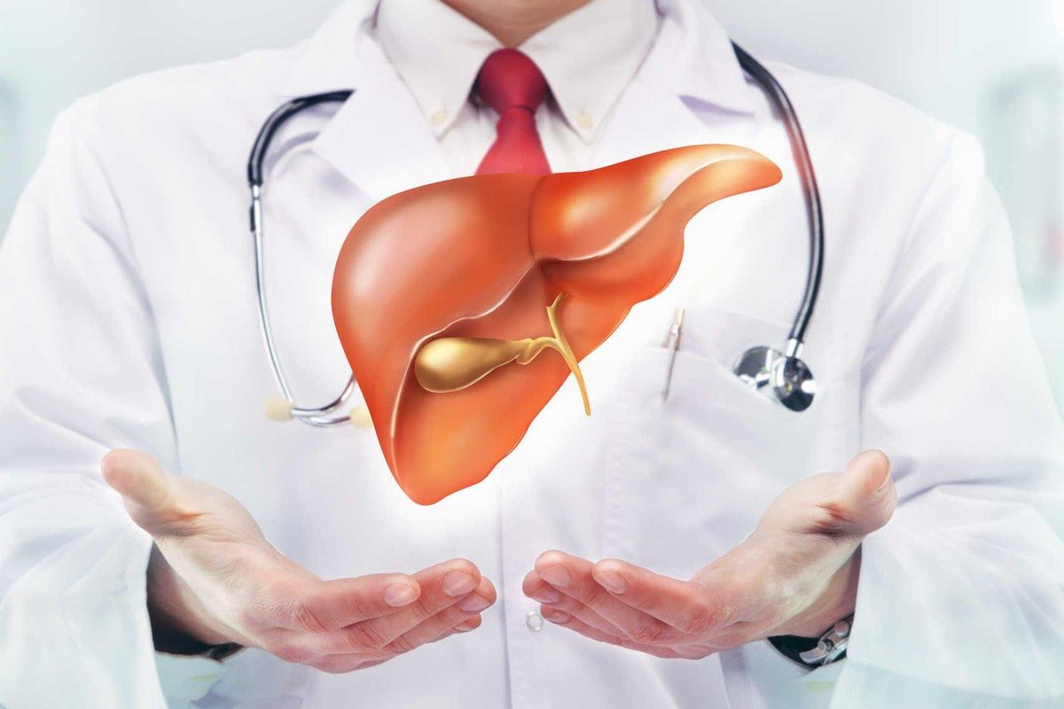 Tăng Men Gan Là Gì? Dấu Hiệu Cảnh Báo Và Cách Hạ Men Gan An Toàn